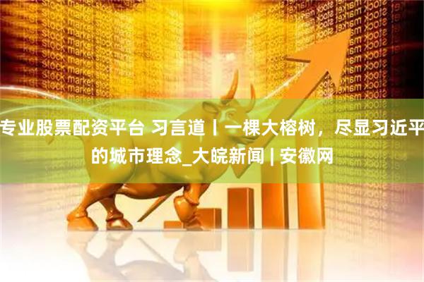 专业股票配资平台 习言道丨一棵大榕树，尽显习近平的城市理念_大皖新闻 | 安徽网