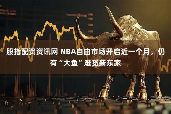 股指配资资讯网 NBA自由市场开启近一个月,仍有“大鱼”难觅新东家